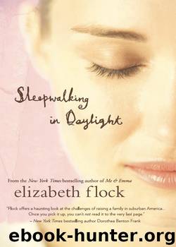 Sleepwalking in Daylight by Elizabeth Flock