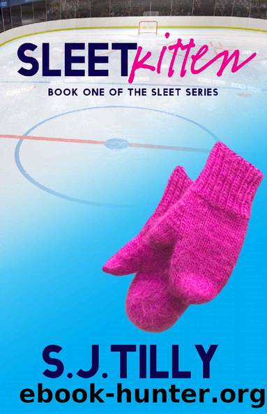 Sleet Kitten: Book One of the Sleet Series by S.J. Tilly