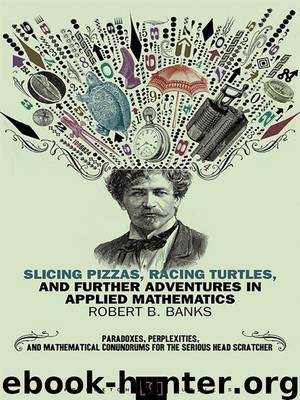 Slicing Pizzas, Racing Turtles, and Further Adventures in Applied Mathematics by Banks Robert B