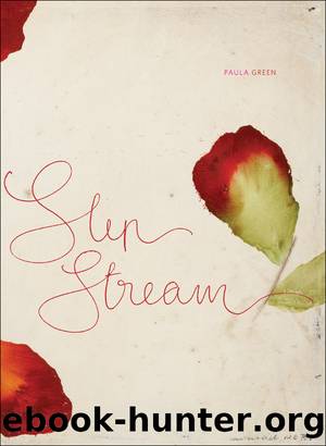 Slip Stream by Paula Green