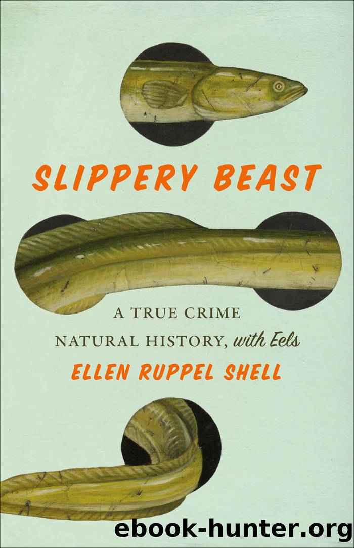 Slippery Beast by Ellen Ruppel Shell