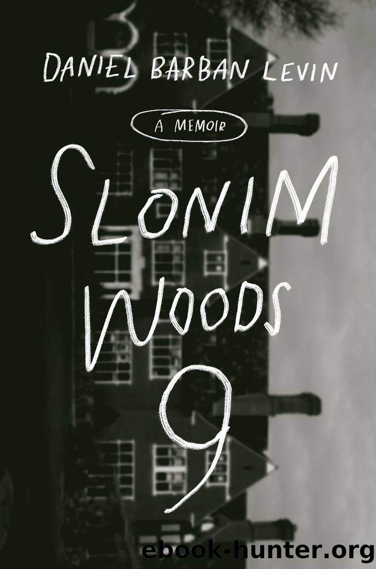 Slonim Woods 9 by Daniel Barban Levin