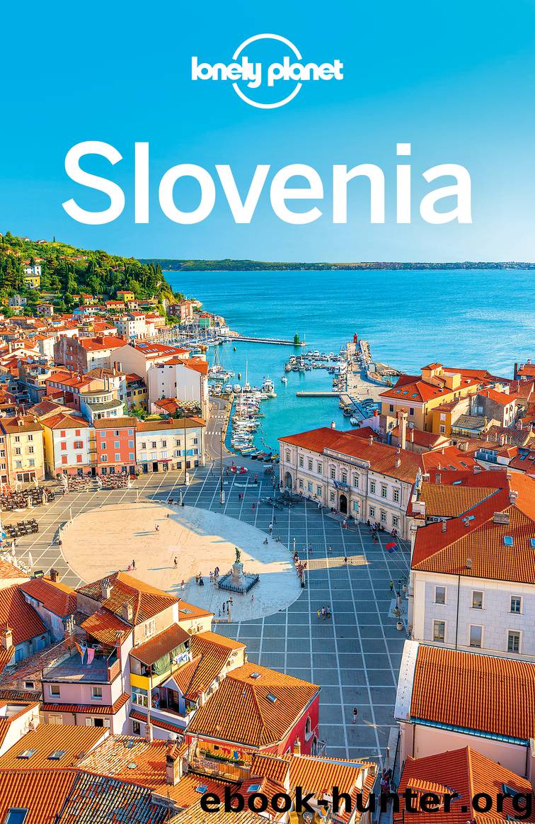 Slovenia Travel Guide by Lonely Planet
