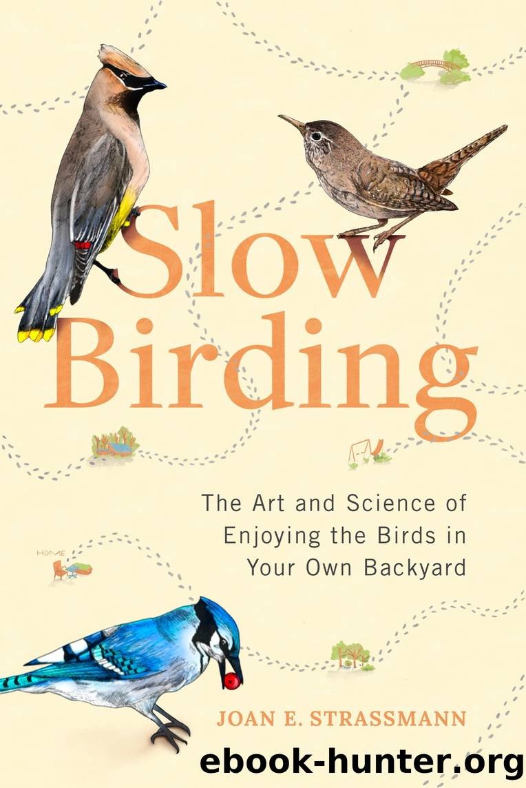 Slow Birding: the Art and Science of Enjoying the Birds in Your Own Backyard by Joan E. Strassmann