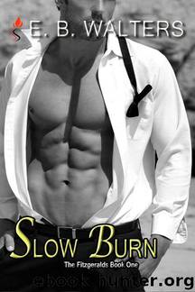 Slow Burn (Contemporary, Romantic suspense, Sensual) (The Fitzgerald Family series) by E.B. Walters