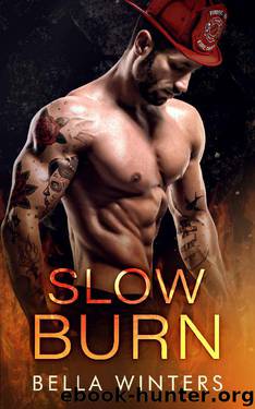 Slow Burn (Forbidden Heat Book 3) by Bella Winters