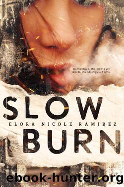 Slow Burn (Heads on Fire Book 2) by Elora Ramirez