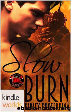 Slow Burn (Kindle Worlds Novella) by Ripley Proserpina