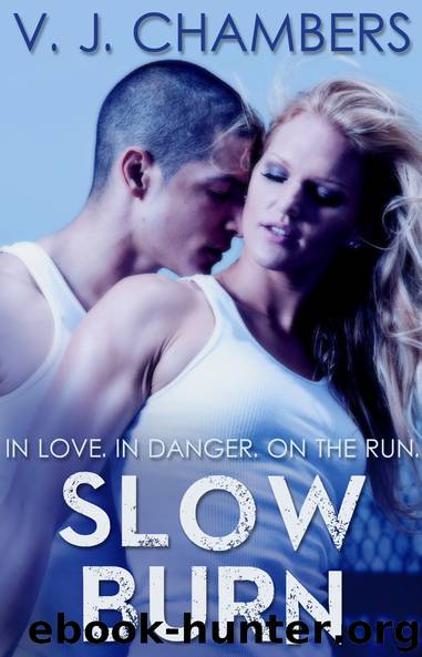Slow Burn (smashwords edition) by V. J. Chambers