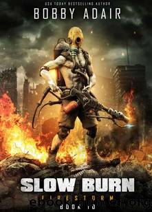 Slow Burn | Book 10 | Firestorm by Adair Bobby