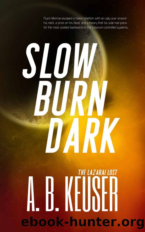 Slow Burn Dark by A B Keuser