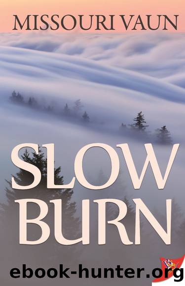 Slow Burn by Missouri Vaun