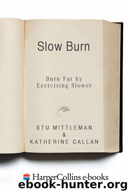 Slow Burn by Stu Mittleman