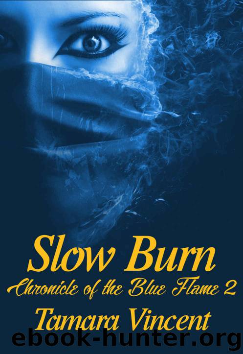 Slow Burn by Tamara Vincent