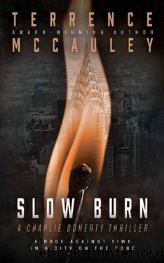 Slow Burn: A Charlie Doherty Thriller by Terrence McCauley