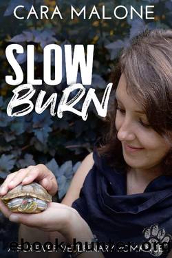 Slow Burn: A Multi-generational Second Chance Romance by Cara Malone
