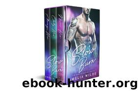 Slow Burn: The Complete Second Chances Series Boxed Set by Amelia Wilde