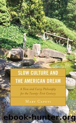 Slow Culture and the American Dream by Mary Caputi
