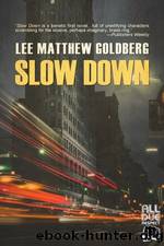 Slow Down by Lee Matthew Goldberg