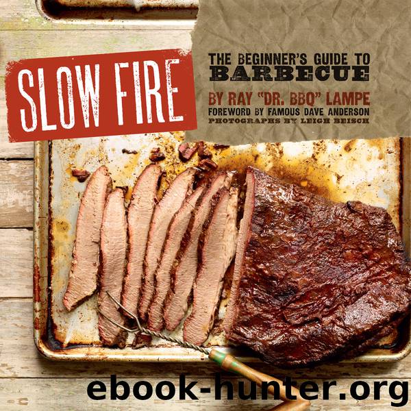Slow Fire by Ray Lampe