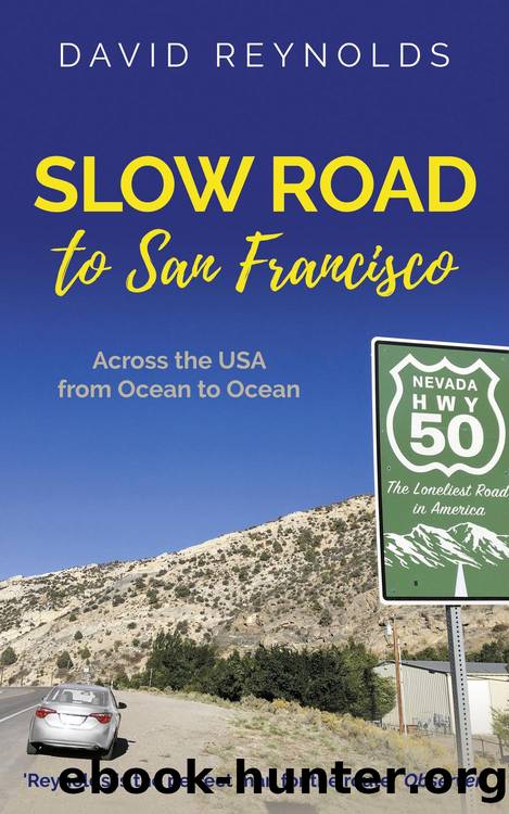 Slow Road to San Francisco by David Reynolds
