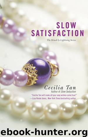 Slow Satisfaction by Cecilia Tan