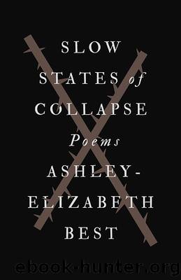 Slow States of Collapse by Ashley-Elizabeth Best