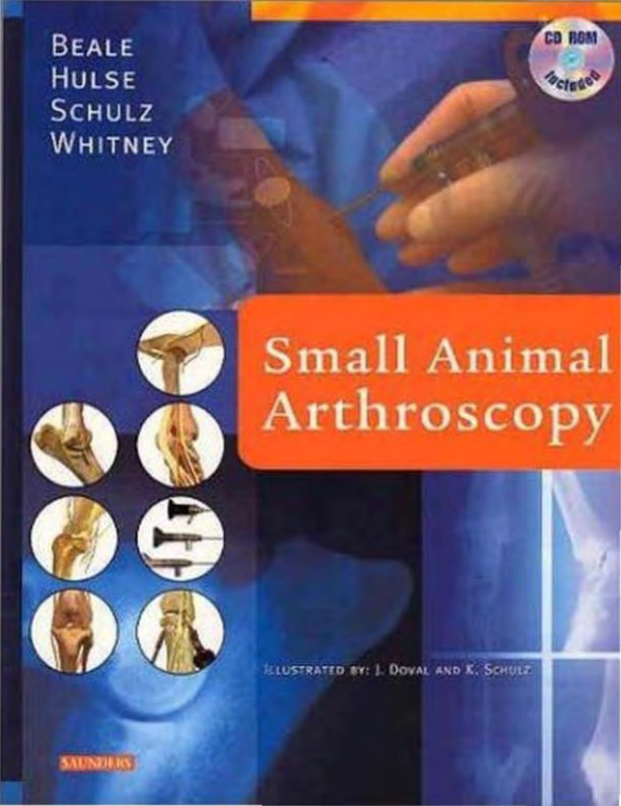 Small Animal Arthroscopy by Donald Hulse Kurt Schulz Wayne Whitney