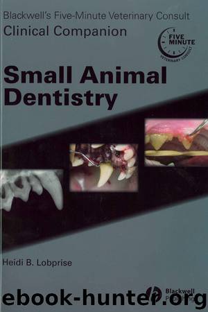 Small Animal Dentistry by Heidi B. Lobprise
