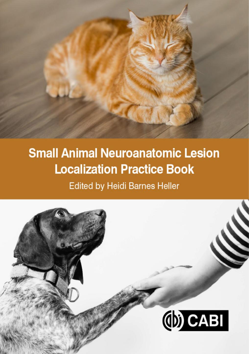 Small Animal Neuroanatomic Lesion Localization Practice Book by Heidi Barnes Heller