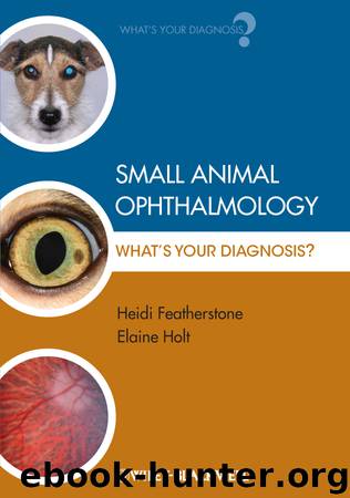 Small Animal Ophthalmology by Heidi Featherstone & Elaine Holt