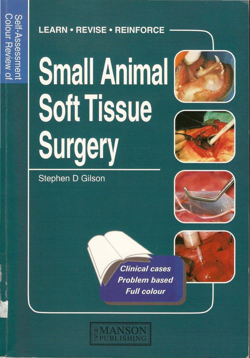 Small Animal Soft Tissue Surgery by Stephen D. Gilson F. Ascaso A. Bennett B. Bouvy
