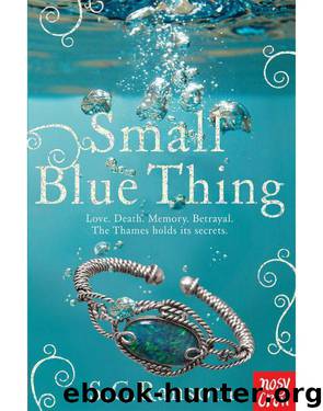 Small Blue Thing by S. C. Ransom