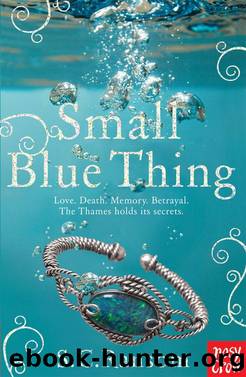 Small Blue Thing by S.C. Ransom