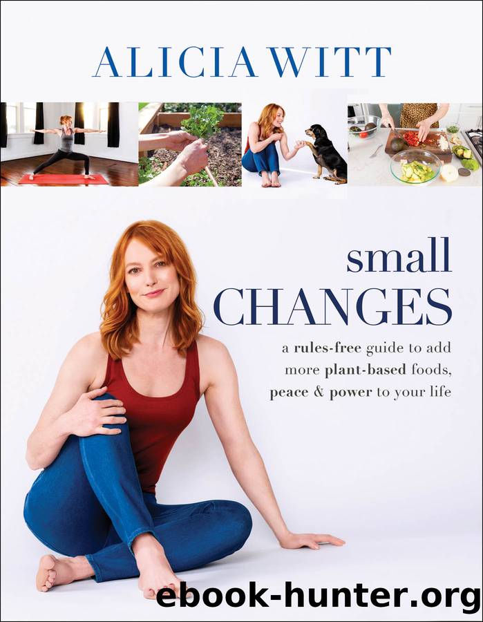 Small Changes by Alicia Witt