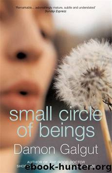 Small Circle of Beings by Damon Galgut