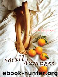 Small Damages by Beth Kephart