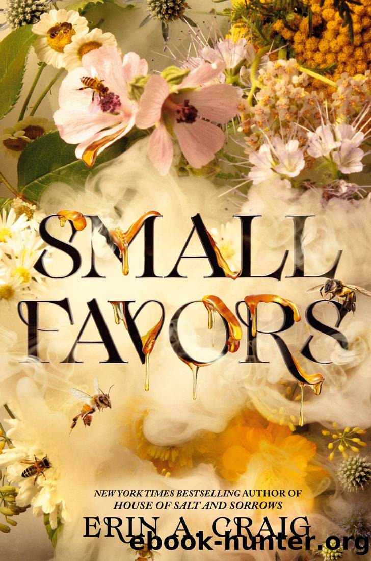 Small Favors by Craig Erin A