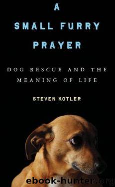 Small Furry Prayer: Dog Rescue and the Meaning of Life by Kotler Steven