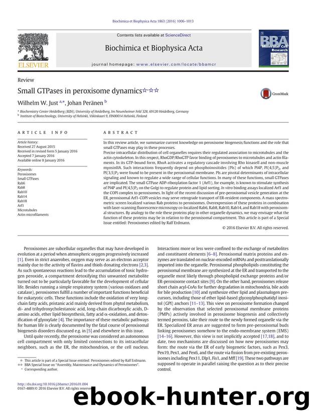 Small GTPases in peroxisome dynamics by Wilhelm W. Just & Johan Peränen