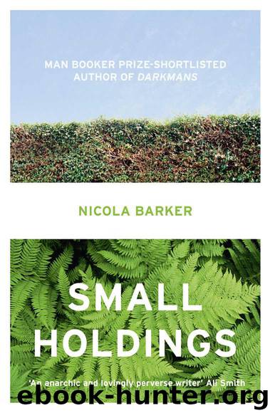 Small Holdings by Nicola Barker