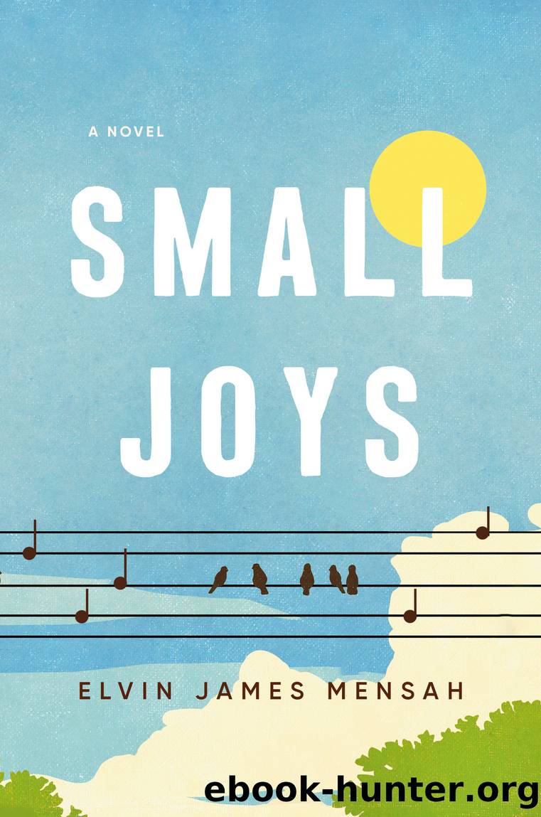 Small Joys by Elvin James Mensah