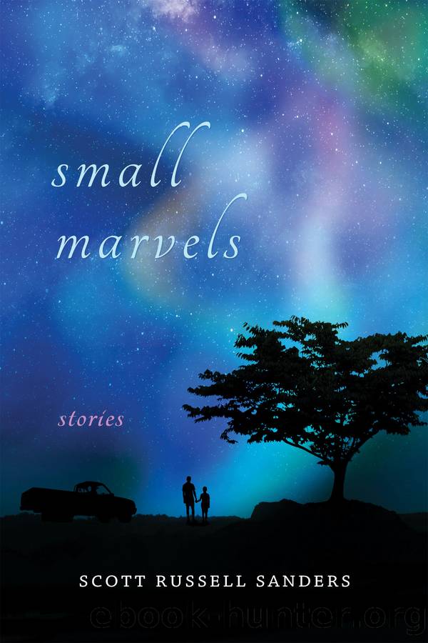 Small Marvels by Scott Russell Sanders