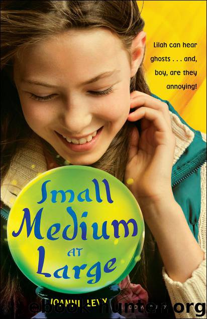 Small Medium at Large by Joanne Levy