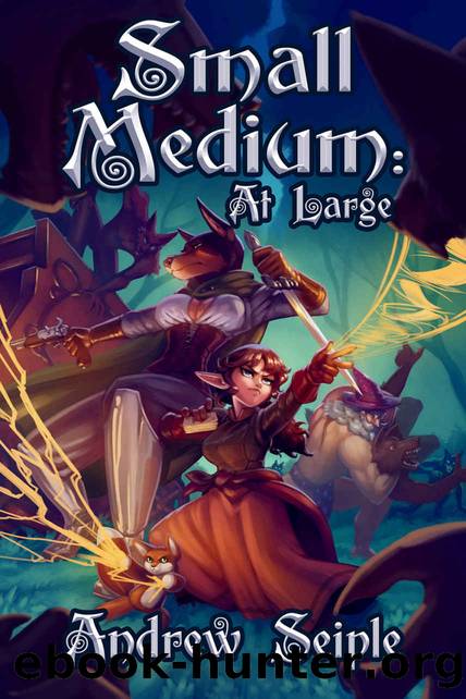 Small Medium: At Large by Andrew Seiple