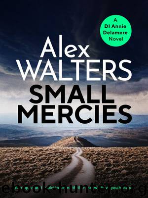 Small Mercies by Alex Walters