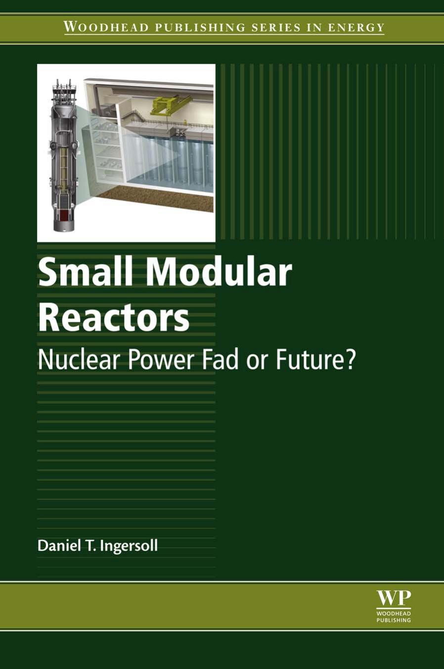 Small Modular Reactors by Nuclear Power Fad or Future (2016)