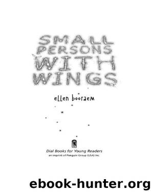 Small Persons With Wings by Ellen Booraem