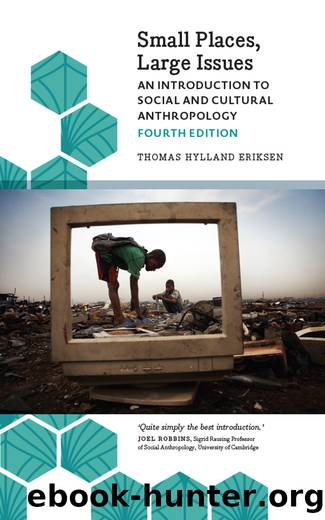 Small Places, Large Issues - Fourth Edition by Thomas Hylland Eriksen