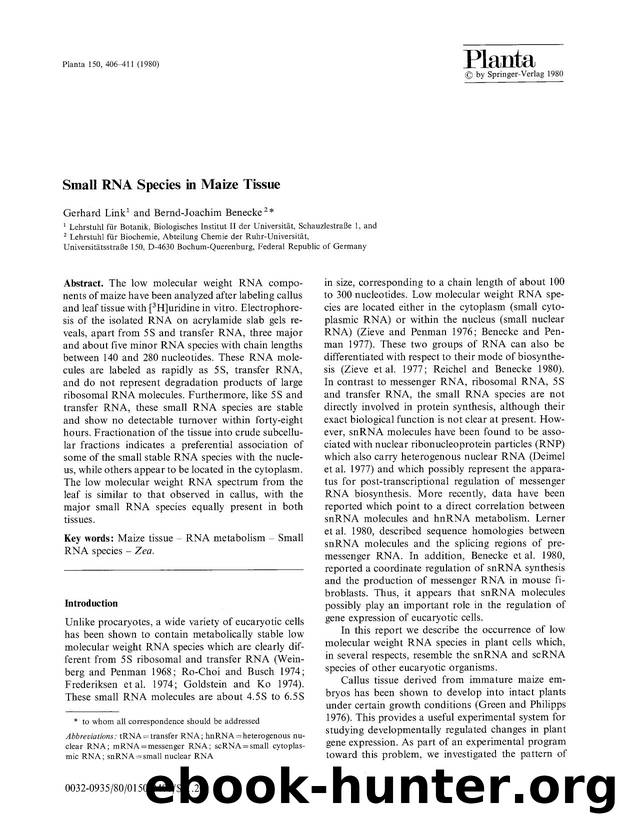 Small RNA species in maize tissue by Unknown